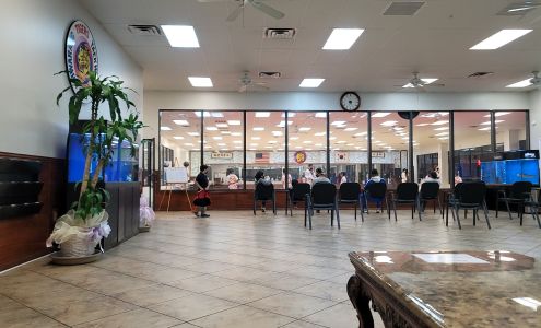 Tigers Martial Arts Group