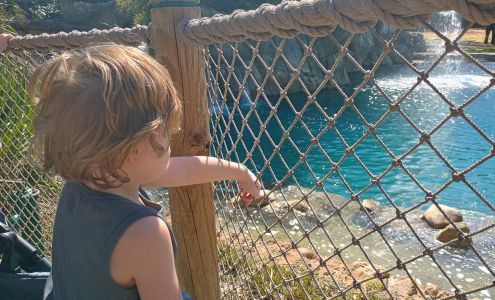 Punkin Patch Daycare Center