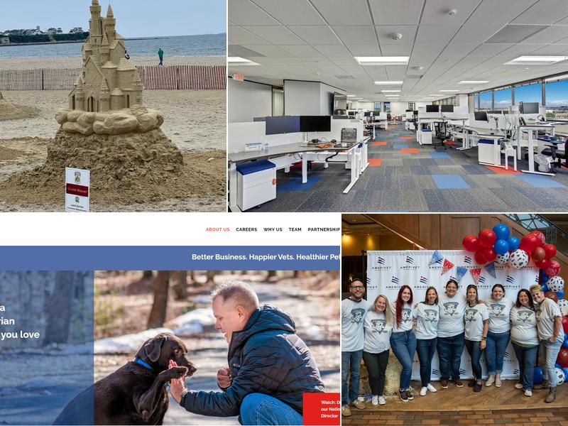 AmeriVet Veterinary Partners