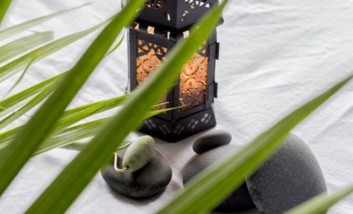 Soul of Lotus Acupuncture and Massage Therapy