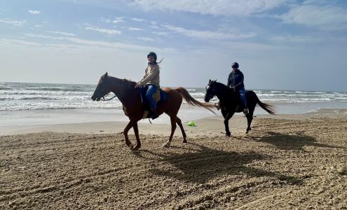 Beach Bum Horse Rides 91 Fort Velasco Dr, Surfside Beach Texas 77541