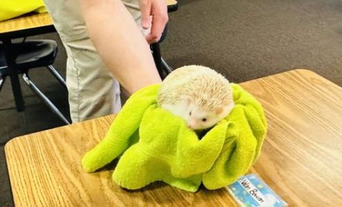 Kalyn's Country Day Learning Center