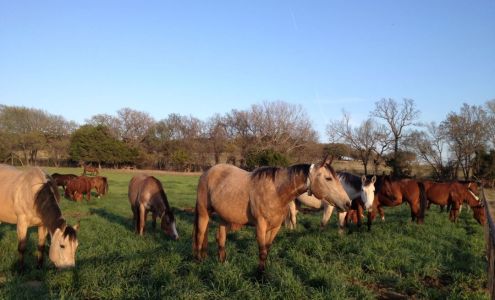 Arnold Reproduction Center 360 Leea Ln, Weatherford Texas 76087