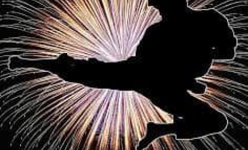 Dragons Den Dojo-Kenpo Karate