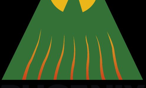 Phoenix Environmental Inc