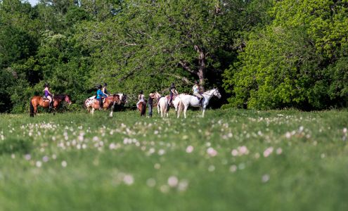 Tri-Star Farm East 3325 FM 1466, Coupland Texas 78615
