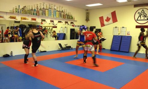 Arashi-Do Martial Arts Edmonton South