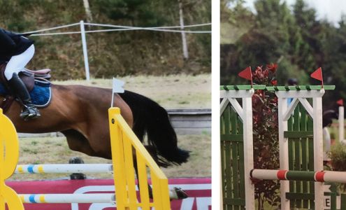 Southern Star Farms Brookshire