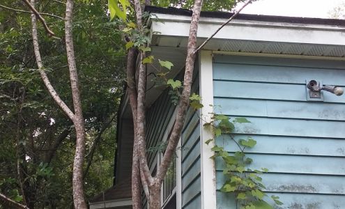 Bed Bath'n Bonz 992 Callaway Rd, Silsbee Texas 77656