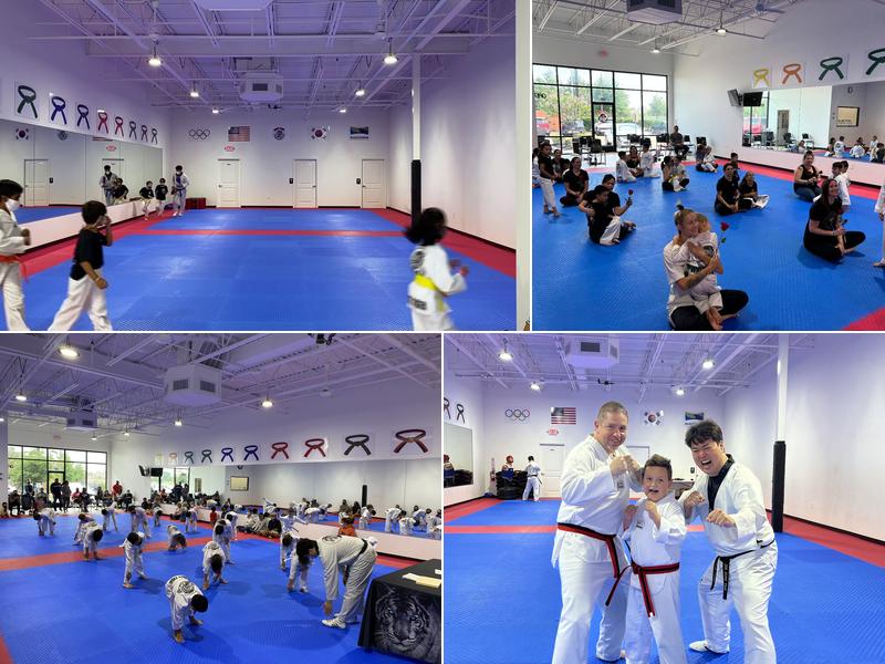 Master Jin's White Tiger Taekwondo