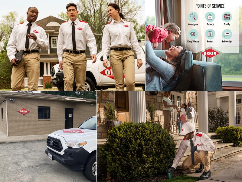Orkin
