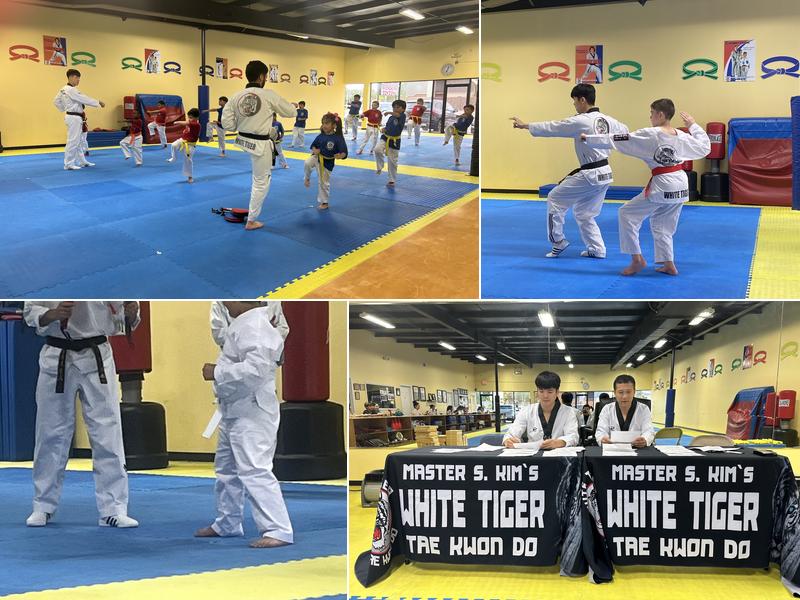 White Tiger Tae Kwon Do