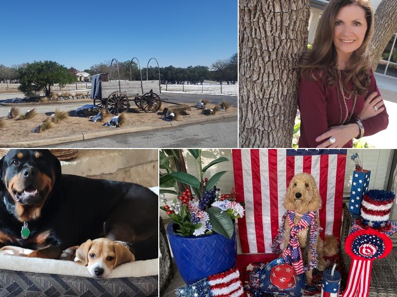 PAWSitive Solutions Dog & Puppy Training, LLC