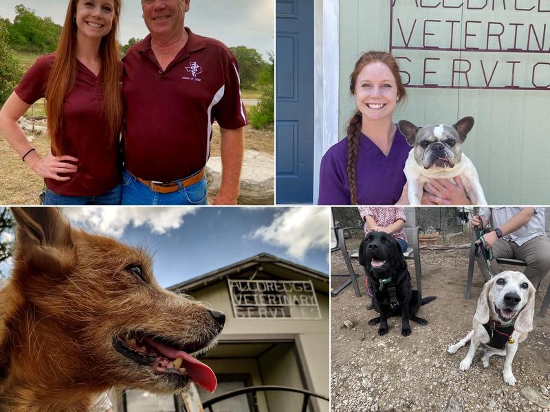 Alldredge Veterinary Services