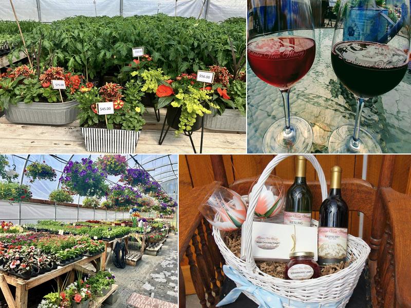 Rainier View Winery & Nursery