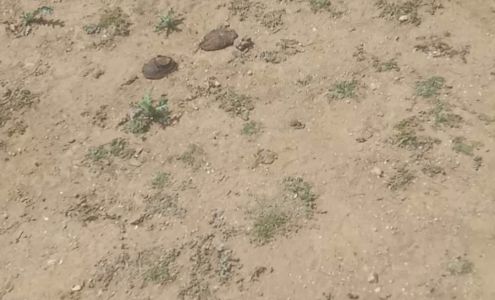 Rodda Paint Co. - Silverdale