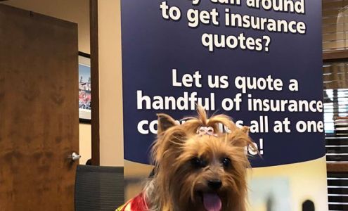 Loyalty Insurance Service Inc