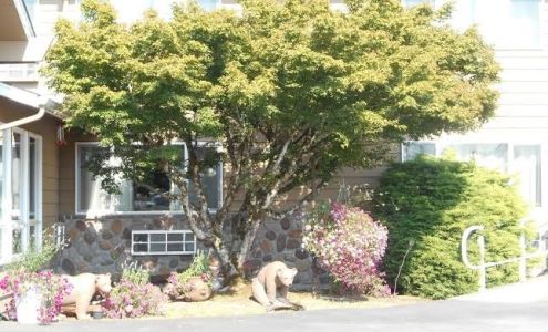 Mt. St. Helens Motel