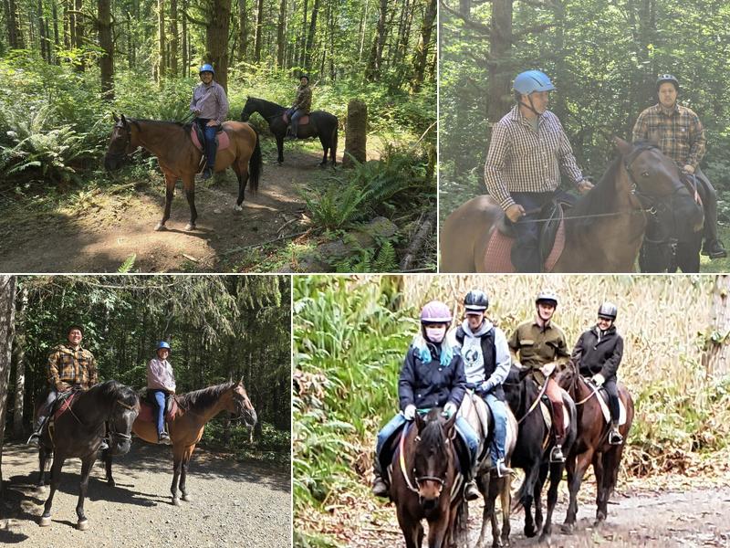 Misty Acres horse Lessons and trail rides
