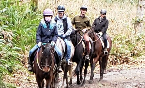 Misty Acres horse Lessons and trail rides 29615 SE 281st St, Ravensdale Washington 98051