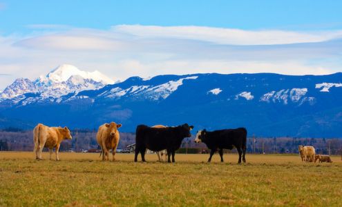 Schenk Packing Co Inc