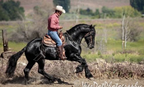 Horsemen's Western Dressage Benton City