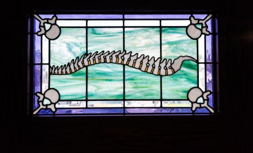 Chernich Chiropractic