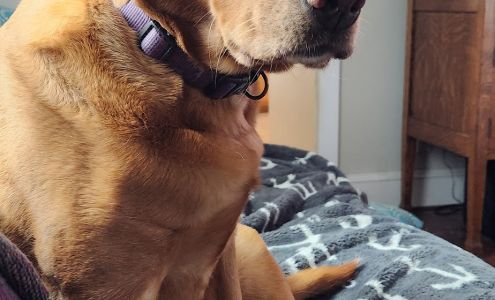 Bakers Ridge Pet Hotel