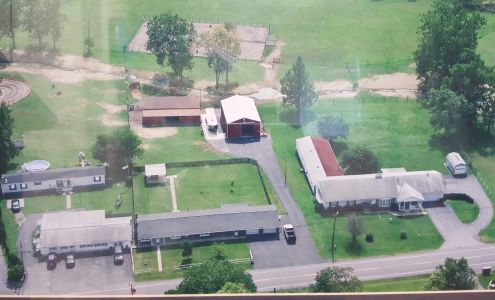 Tender Loving Pet Care