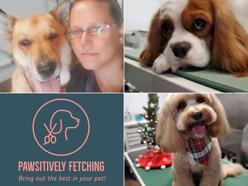 Pawsitively Fetching
