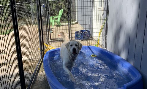 Logan's Doggie Bed & Breakfast 6761 Druid Lake Rd, Hartford Wisconsin 53027