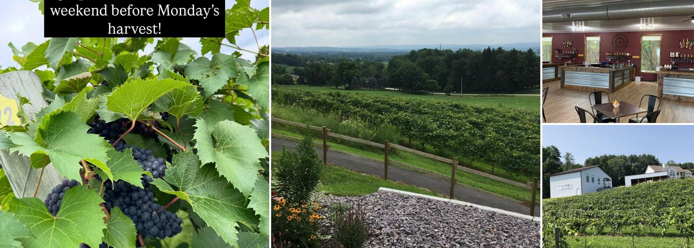 Baraboo Bluff Winery