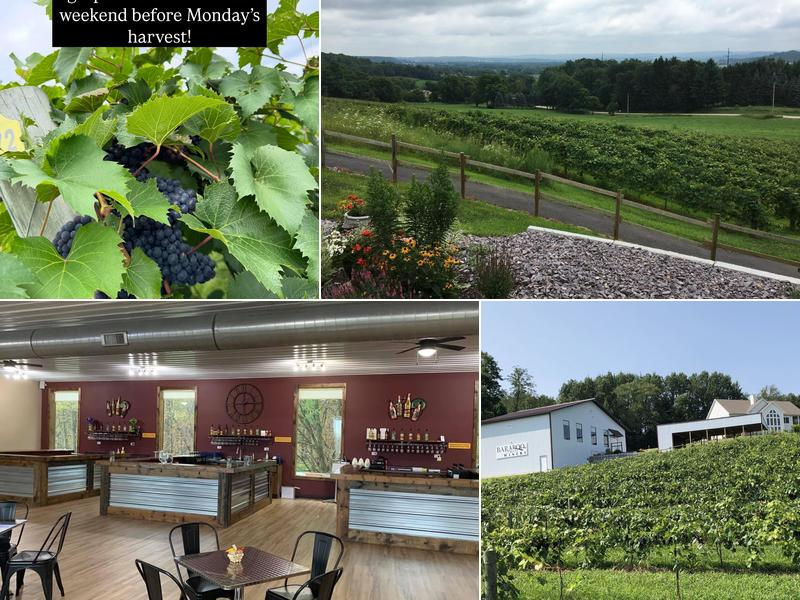 Baraboo Bluff Winery