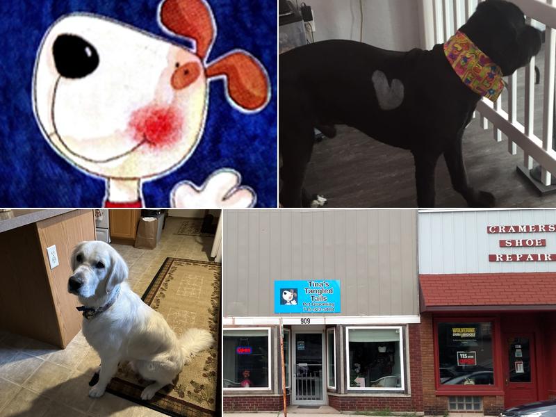 Tina's Tangled Tails