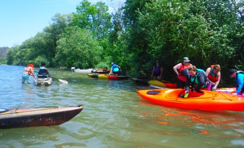 Silent Wake, LLC Fredonia