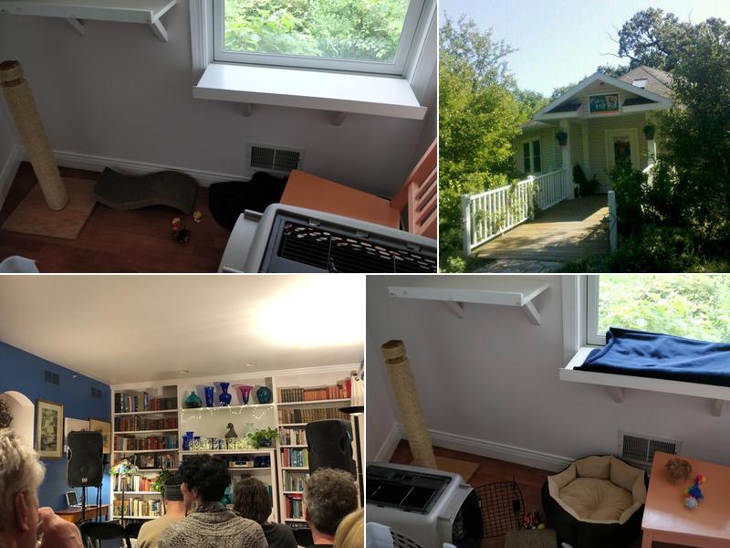 Catnip Hill Cat Boarding