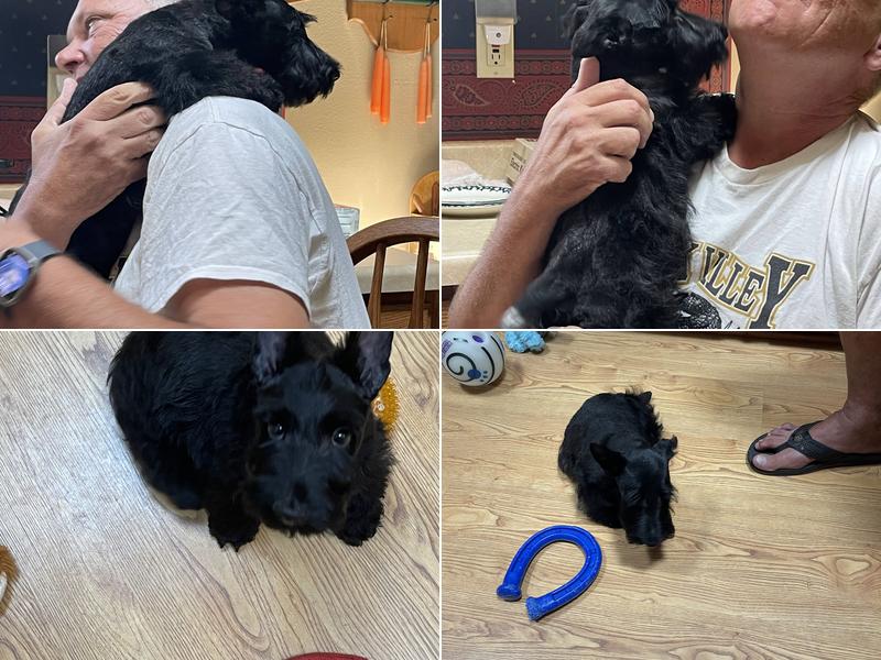 Windy Knoll Kennels LLC