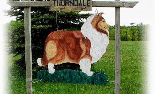 Thorndale Bone & Biscuit Pet Camp Resort 140243 Co Rd Ff, Merrill Wisconsin 54452