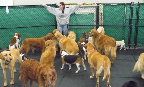 It's a Dog's Life LLC