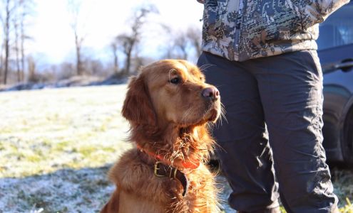 Caden's Kennel & Hunt Club W2738 Scenic Dr, Campbellsport Wisconsin 53010