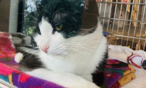 Humane Society Of Portage County Inc