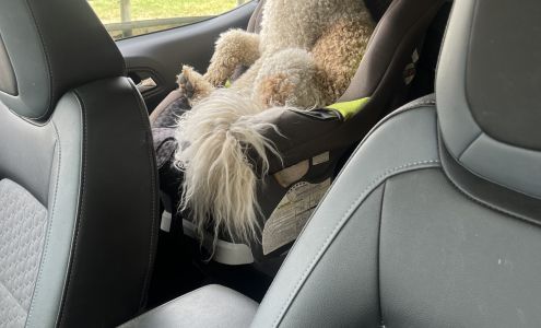 Big Horn Kennels 185 Bird Farm Rd, Big Horn Wyoming 82833