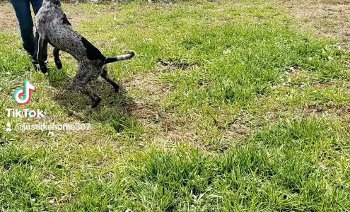 Just Like Home Boarding Kennel 121 Commerce Dr, Evanston Wyoming 82930