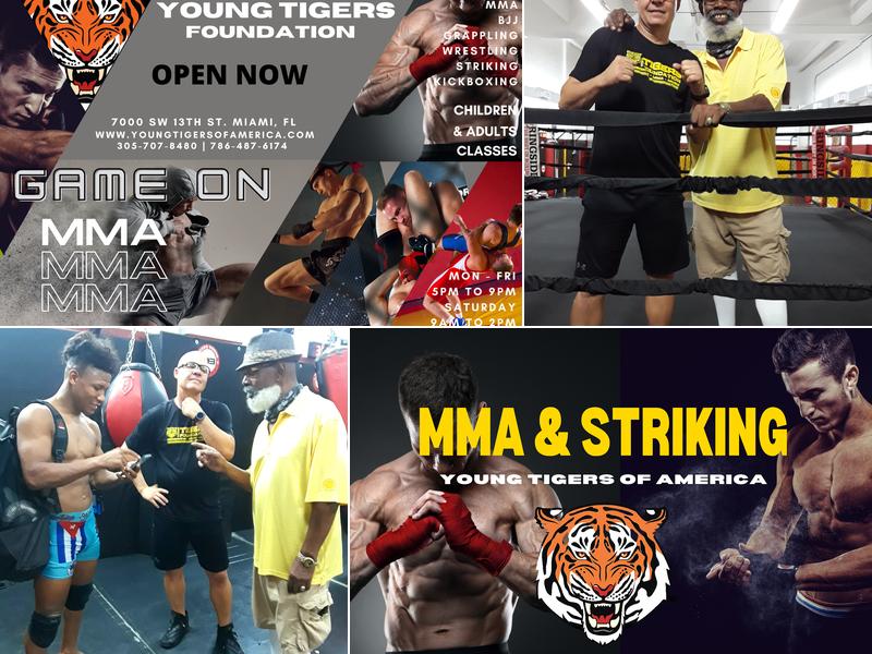 Young Tigers of America