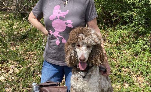 Ain’t Misbehavin’ Canine Academy Wantagh