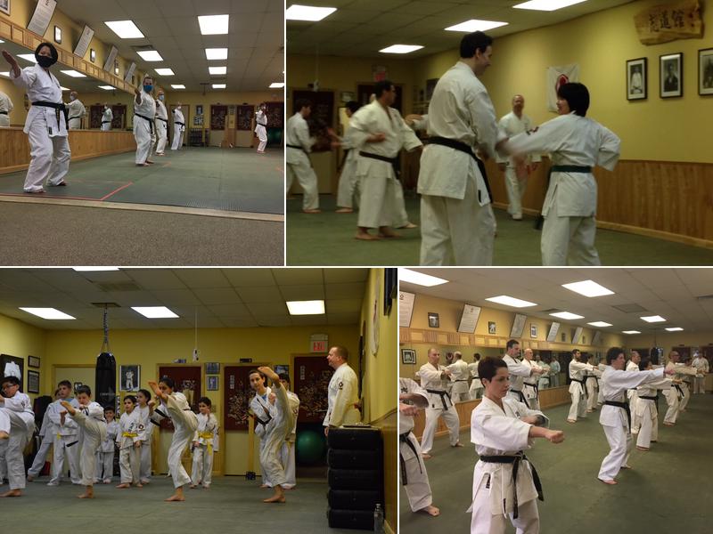 Okinawan Shidokan Karate Dojo
