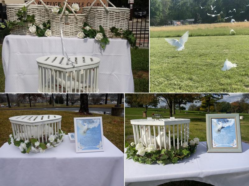 Winged Wishes Sent Up Above