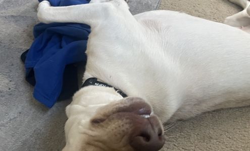 Charles County Animal Care Center (Formally Tri-County Animal Shelter) Hughesville