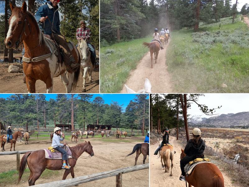 Jackson's Stables Inc