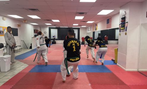 International Taekwon Do Academy